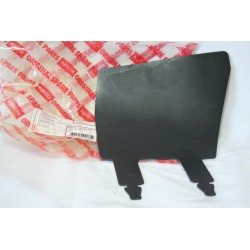 Protezione carburatore...
