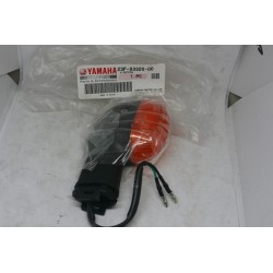Freccia anteriore dx Front...