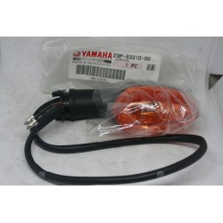 Freccia anteriore sx Front...