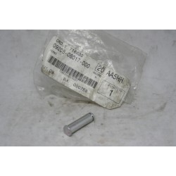 Perno pedana Footrest pin...