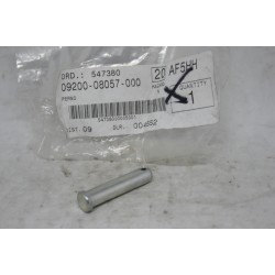 Perno pedana Footrest pin...