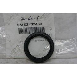 Paraolio 30 X 42 X 6 Seal...