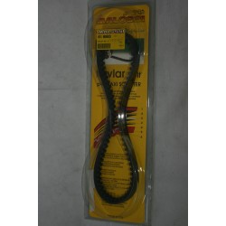 Cinghia trasmissione...