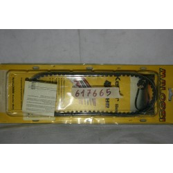 Cinghia trasmissione...