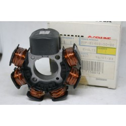 Statore generatore Stator...