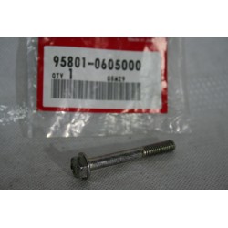 Bullone telaio 6X50 Flange...
