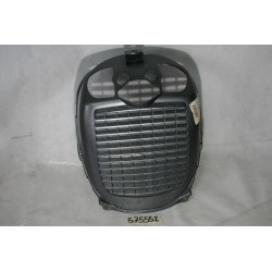 Griglia radiatore Water...