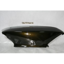 Carena fiancata dx Fairing...