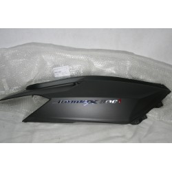 Carena fiancata dx Fairing...