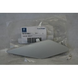 Copertura dx Fairing panel...