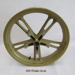 Cerchio anteriore Front rim...