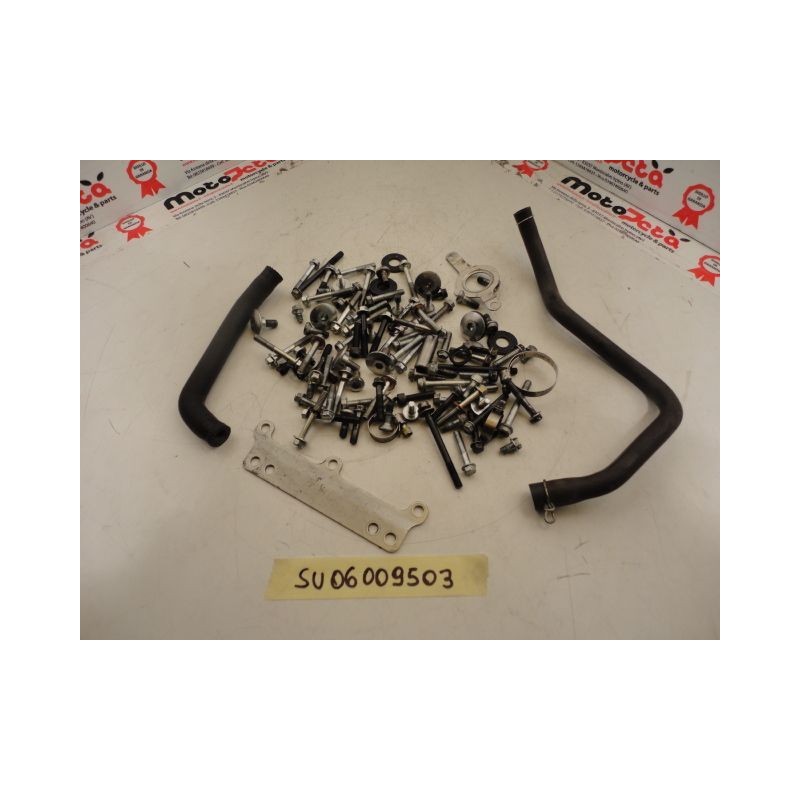 kit viti smontaggio motore originale usato engine screws original used Suzuki Gsx-r 750 06 07