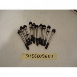 Bulloni ancoraggio testata originali Anchorage head bolts original Suzuki Gsx-r 750 06 07