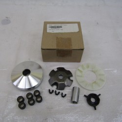 Variatore completo Variator...