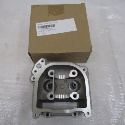 Testata motore Engine head...