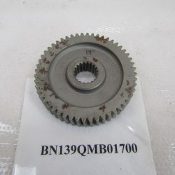 Ingranaggio secondario Z52...