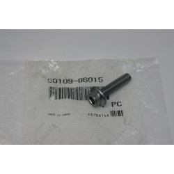 Vite frizione Clutch screw...