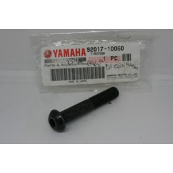 Vite telaio Frame screw...
