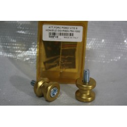 Supporti forcellone...