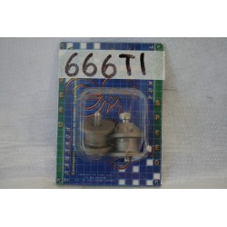 Supporti forcellone...