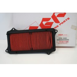 Filtro aria Air filter...
