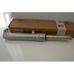 Stelo dx forcella Fork leg...