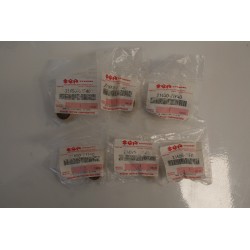 Kit 6 rulli variatore...
