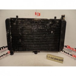 Radiatore cagiva freccia C12 89