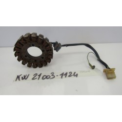 Statore Stator assy...