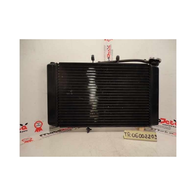 Radiatore acqua Water  Radiator Kuhlerlufter triumph tiger 800 13-14