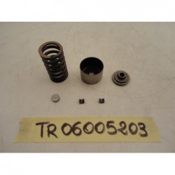 Arredo montaggio valvole furniture fitting valves Triumph Speed 1050 05 09 