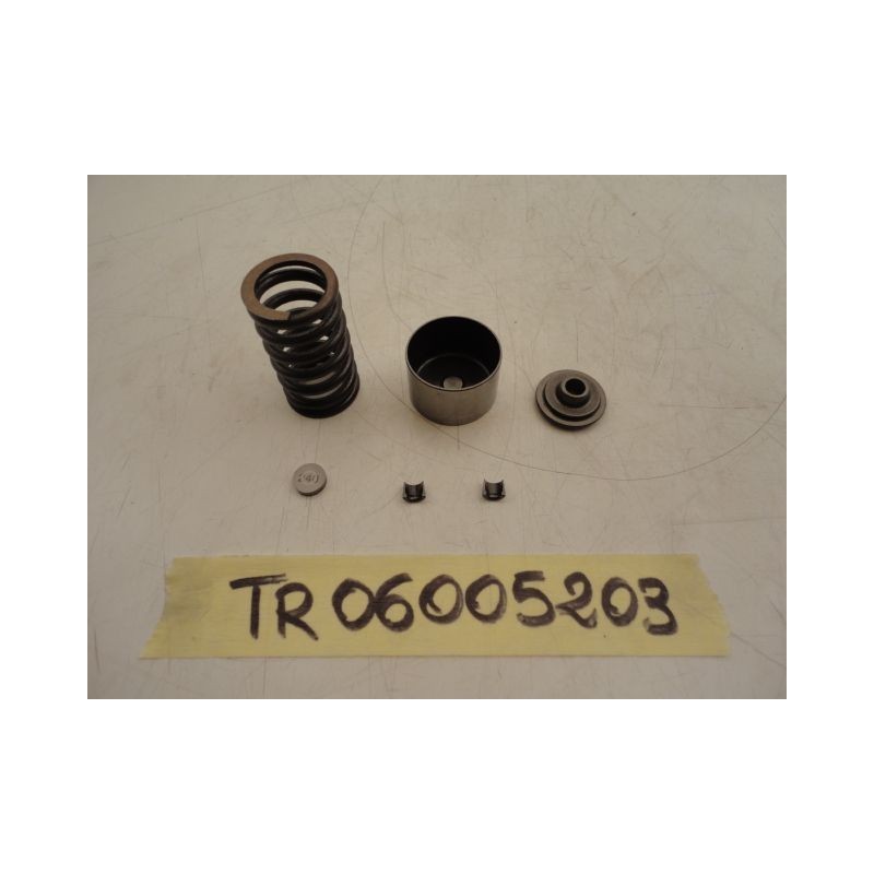 Arredo montaggio valvole furniture fitting valves Triumph Speed 1050 05 09 
