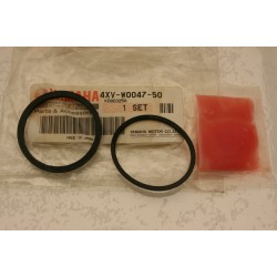 Kit guarnizioni pinza freno...