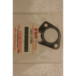 Guarnizione tendicatena...