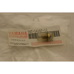 Valvola spillo carburatore...