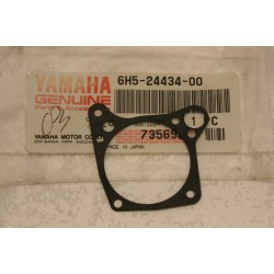 Guarnizione carburatore...