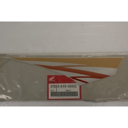 Adesivo carena scudo Shield...