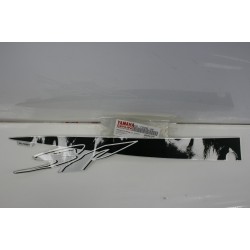 Adesivo carena puntale...