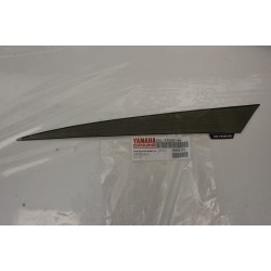 Adesivo dx cupolino Right...