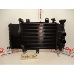 Radiatore acqua Water Radiator Kuhlerlufter Bmw F 700 Gs 12 15