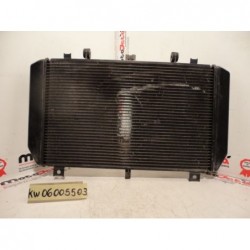 Radiatore acqua Water Radiator Kuhlerlufter kawasaki Z 750 07 14