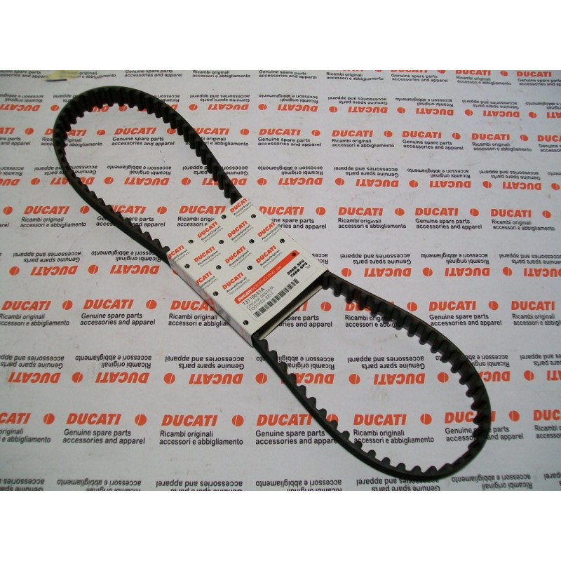 Cinghia dentata distribuzione toothed belt distribution Z95 Ducati 996 73710031a