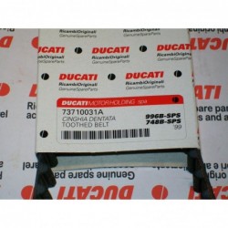 Cinghia dentata distribuzione toothed belt distribution Z95 Ducati 996 73710031a