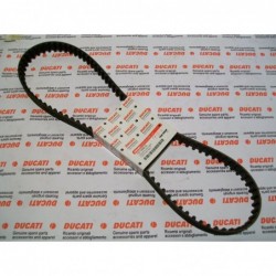 Cinghia dentata distribuzione toothed belt distribution Ducati 996 73710061a
