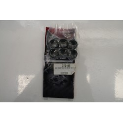 Kit 6 rulli variatore BANDO...