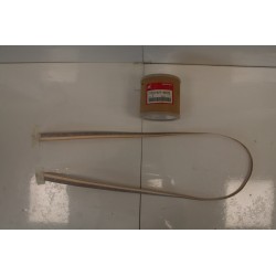 Adesivo carena coda Tail...