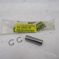 Spinotto pistone Ø mm...