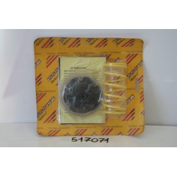 Variatore MALOSSI MULTIVAR...