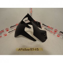 Parafango Ant Front fender Nose Verkleidung Panel Aprilia Dorsoduro 750 08 14