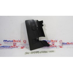 Plastica dx radiatore Water...